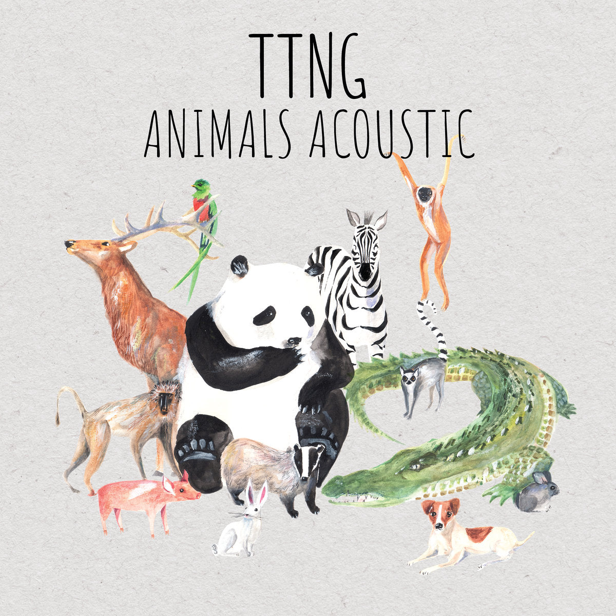 TTNG Animals Acoustic LP